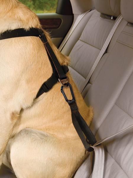 Kurgo Seatbelt Teather with Carabiner Black Kurgo Seatbelt Teather with Carabiner Black